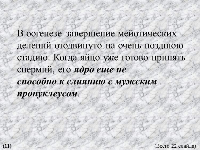 В оогенезе завершение мейотических делений отодвинуто на очень позднюю стадию. Когда яйцо уже готово